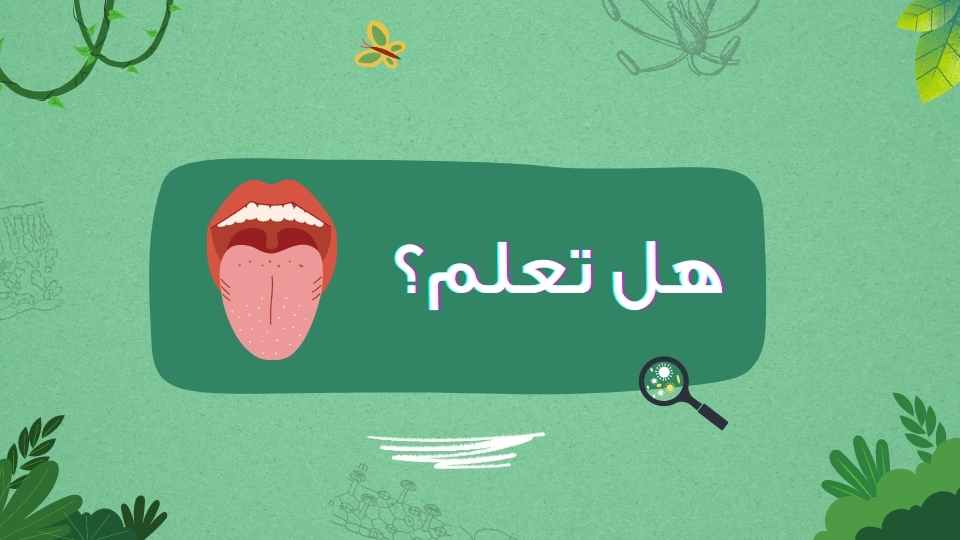 الشخص العادي لديه