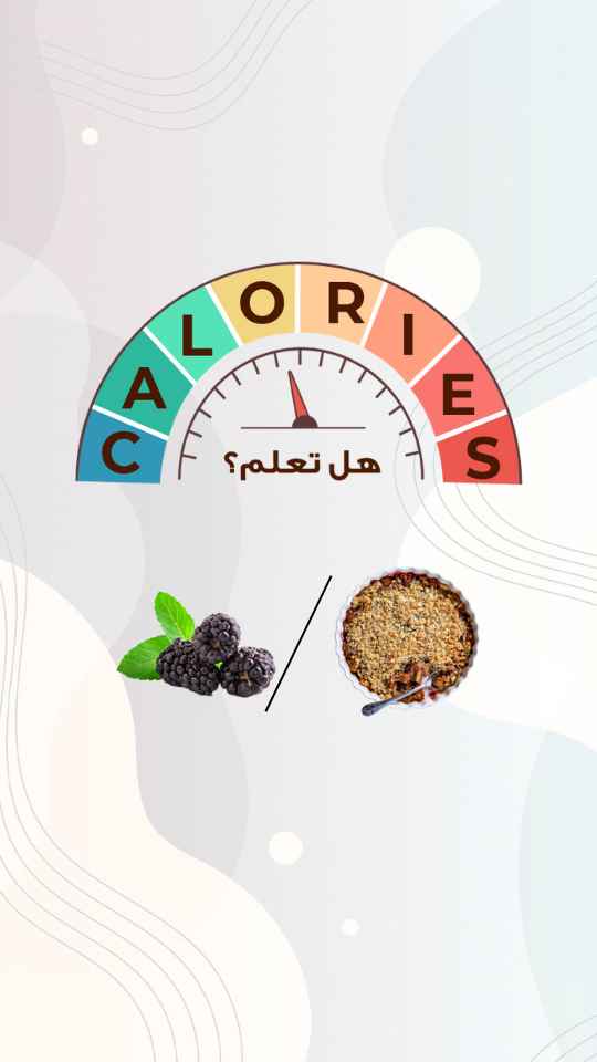 التوت الاسود